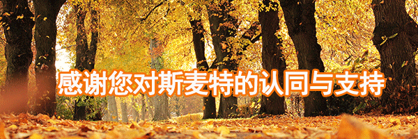 無桿氣缸 無桿氣缸